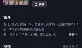 爆料丁海棠视频大全集,揭秘传奇人生的多面风采