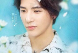 王安宇女生爆料视频,揭秘背后惊人真相