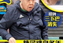 泰国肥猫爆料视频,揭秘视频背后的惊人真相